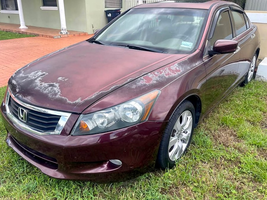 2010 Honda Accord EX Sedan
