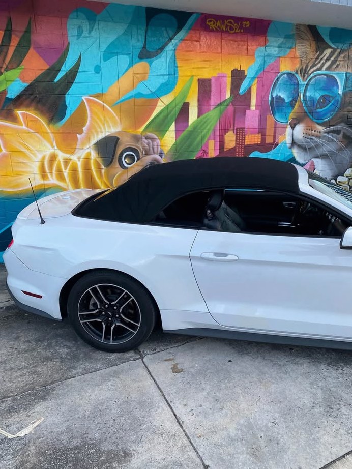 2020 Ford Mustang Convertible 2D