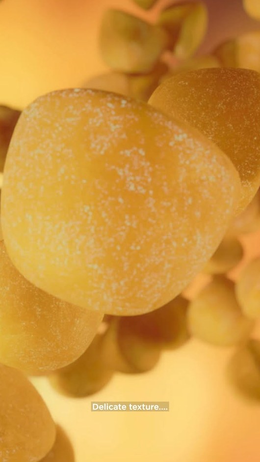 2025 Suzuki Gsxr