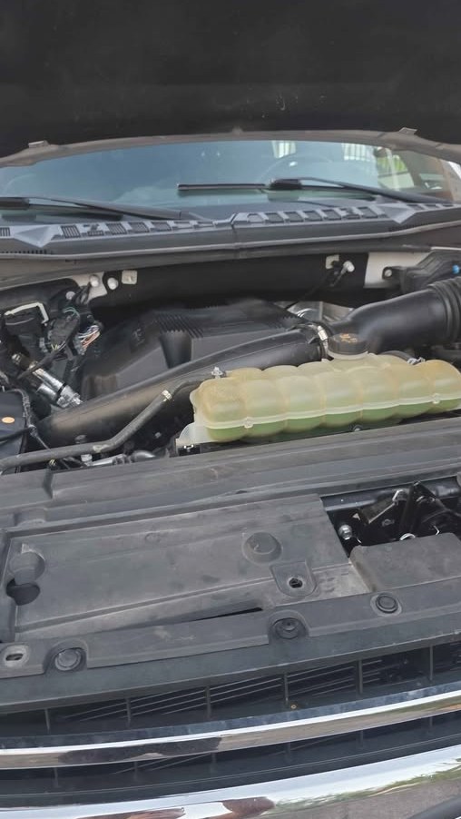 2019 Ford E150 passenger Chateau
