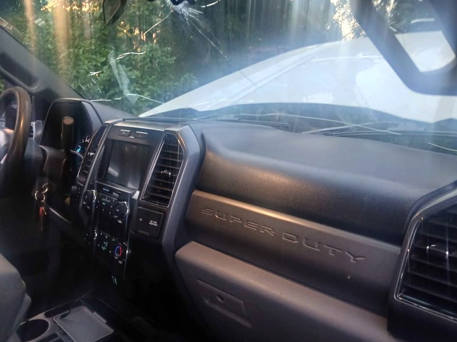 2019 Ford Econoline e250 cargo
