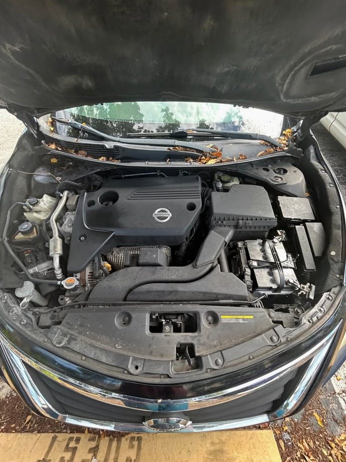2014 Nissan Altima Pure drive
